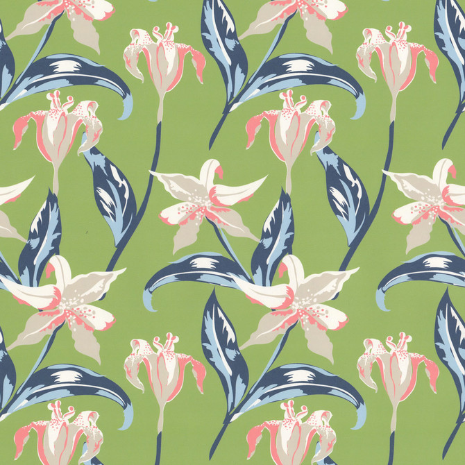 W07Vl Emma 1 Grass by Aoc Designer Wallcovering ART OF COLOR HERITAGE WALLPAPER II 100%PA USA Horizontal: 9.000 and Vertical: 12.000 27 in - Swanky Fabrics -