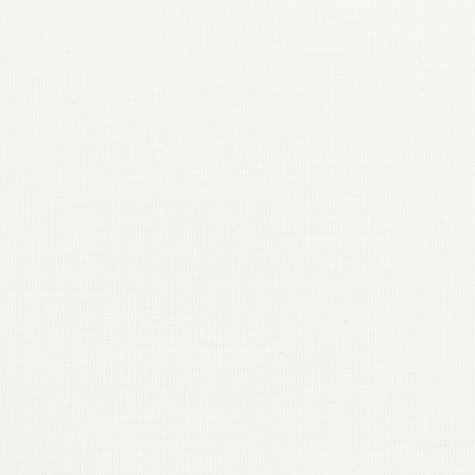 Luzon 6 Snow by Stout Fabric Stout Fabric Luzon 6 SnowFabric COLOR APPEAL 46%COT 35%POL 10%LIN 9%SVI INDIA </p><p>Repeat: H: 0.000, V: 0.000 55 in - Fabric Carolina -