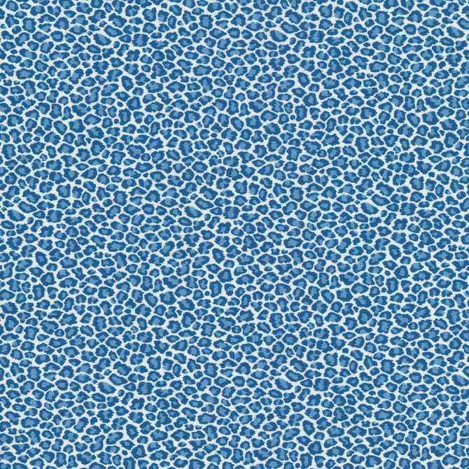 Copycat 1 Bluebird by Stout Fabric Stout Fabric Copycat 1 BluebirdFabric RAINBOW LIBRARY HAZE/SKY 100%COT SPAIN </p><p>Repeat: H: 4.500, V: 4.500 54 in - Fabric Carolina -