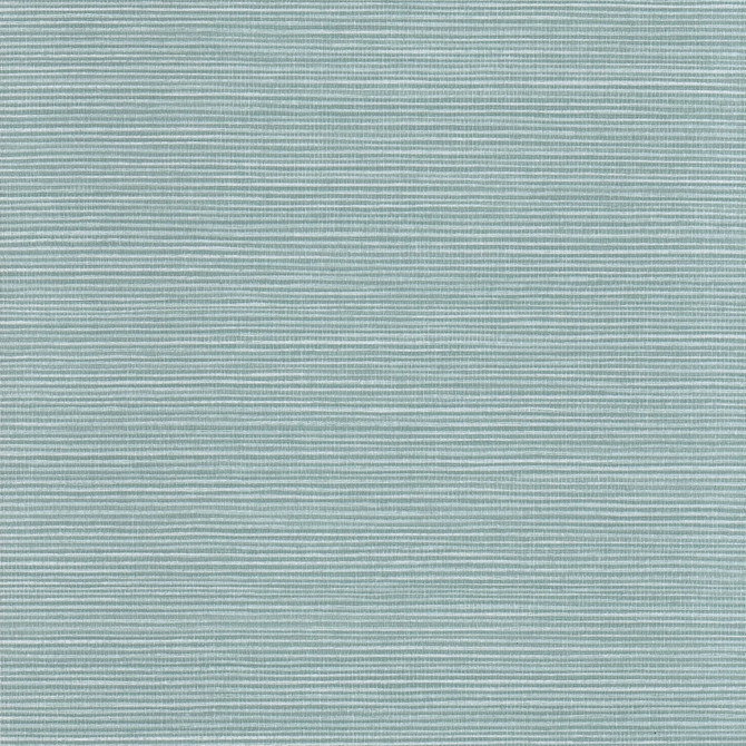 W1021 Rebecca 1 Glacier by Aoc Designer Wallcovering ART OF COLOR WELL KEPT SECRET WALLPAPER 100%OTH USA FLAME RETARDANT-N.F.P.A. 701 SMALL SCALE MARTINDALE WEAR TEST (15 000 CIRCULAR RUBS) Horizontal: 0.000 and Vertical: 0.000 27 in - Swanky Fabrics -