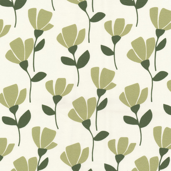 Rudolf 2 Basil by Stout Designer Fabric RAINBOW LIBRARY SAGE/CYPRESS 100%COT SPAIN Horizontal: 6.750 and Vertical: 13.500 54 in - Swanky Fabrics -