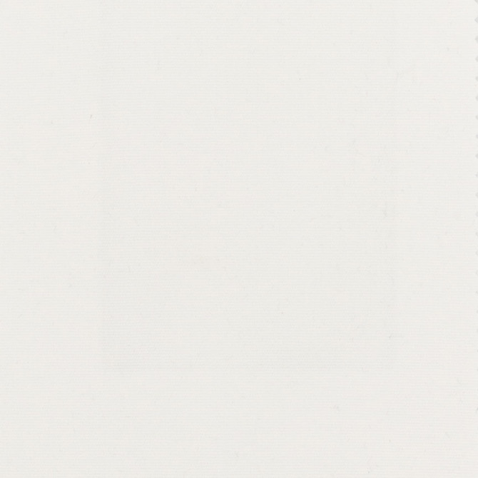 Oslo 1 Snow by Stout Fabric Stout Fabric Oslo 1 SnowFabric ENDLESS OPPORTUNITY 100%SDA MEXICO </p><p>Repeat: H: 0.000, V: 0.000 54 in - Fabric Carolina -