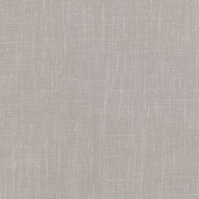 Obligation Nickel by Carole Designer Fabric Dove Wing 84% Polyester, 16% Cotton INDIA N/A None 54" - Swanky Fabrics -