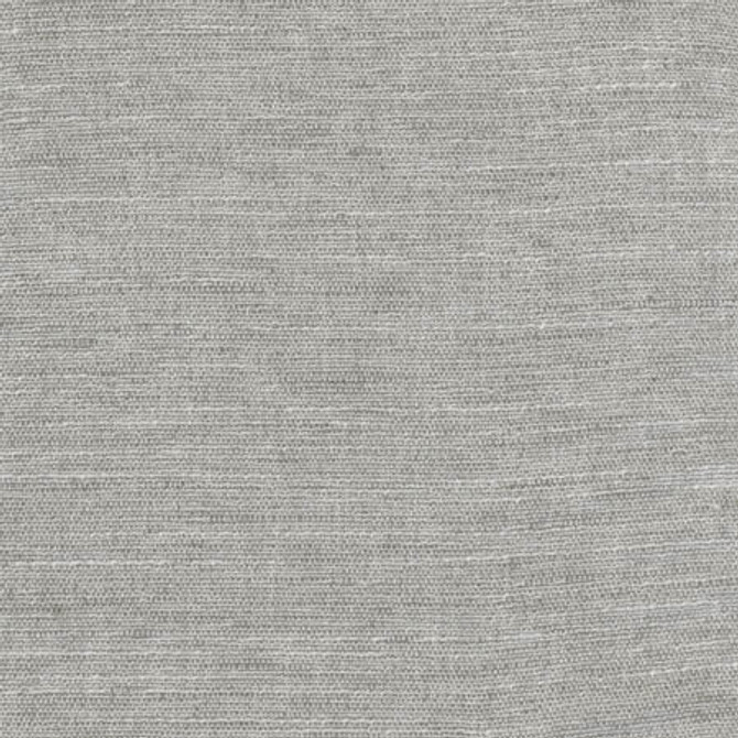 Training Day Slate by Carole Designer Fabric Dove Wing 92% Polyester, 8% Cotton INDIA N/A None 54" - Swanky Fabrics -