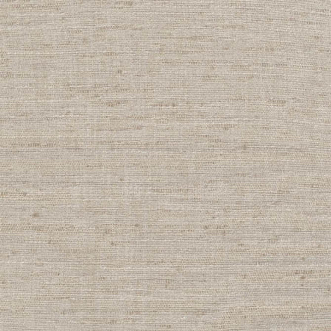 Training Day Stone by Carole Designer Fabric Dove Wing 92% Polyester, 8% Cotton INDIA None 54" - Swanky Fabrics -