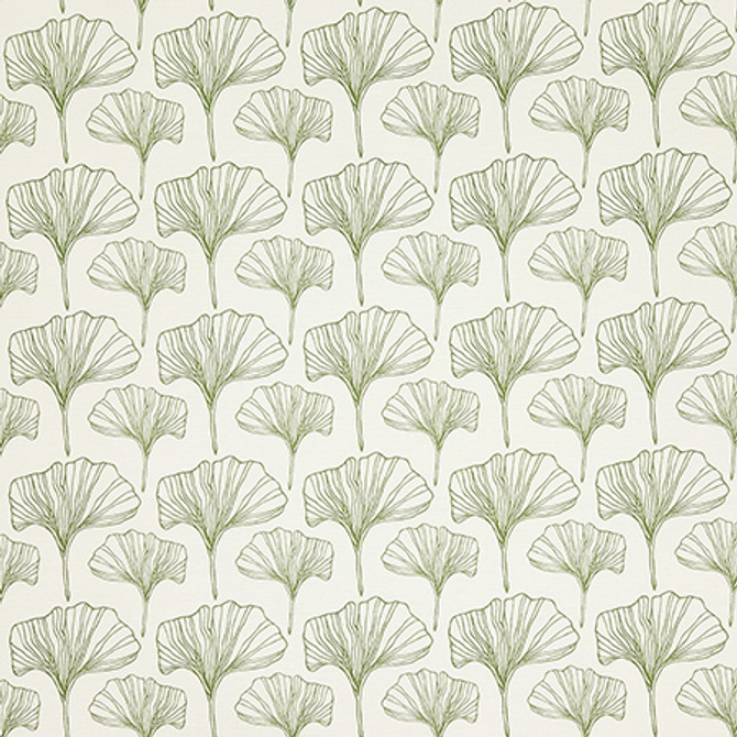 Ginkgo Sketches Moss by Carole Designer Fabric Evergreen 100% Cotton Spain 4 1/2" V, 4 1/2" H 54" - Swanky Fabrics -