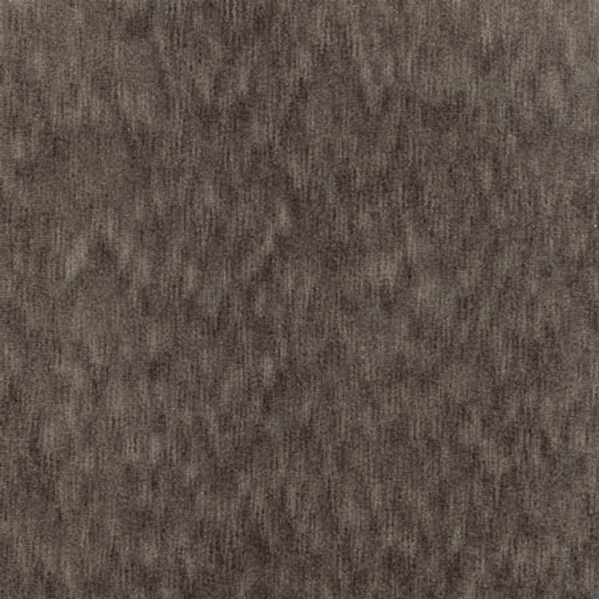 Ahead Of The Game Carbon by Carole Designer Fabric First Class 100% Polyester CHINA None 58" - Swanky Fabrics -