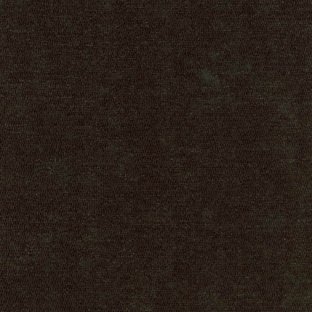 Bright Future Onyx by Carole Designer Fabric First Class 100% Polyester CHINA 100,000 Wyzenbeek Double Rubs None 54" - Swanky Fabrics -