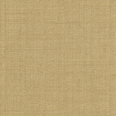 Cortland Butterscotch by Carole Designer Fabric Gala 100% Polyester India 30,000 WYZENBEEK DOUBLE RUBS None 54.75" - Swanky Fabrics -