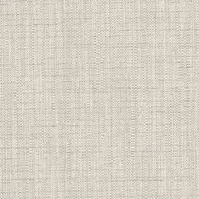 Cortland Oyster by Carole Designer Fabric Gala 100% Polyester India 30,000 WYZENBEEK DOUBLE RUBS None 54.75" - Swanky Fabrics -