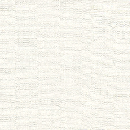 Cortland Snow by Carole Designer Fabric Gala 100% Polyester India 30,000 WYZENBEEK DOUBLE RUBS None 54.75" - Swanky Fabrics -