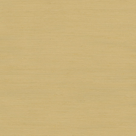 Rumi Gold Dust by Carole Designer Fabric Gala 100% Polyester India None 54" - Swanky Fabrics -