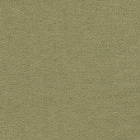 Rumi Lily Pad by Carole Designer Fabric Gala 100% Polyester India None 54" - Swanky Fabrics -