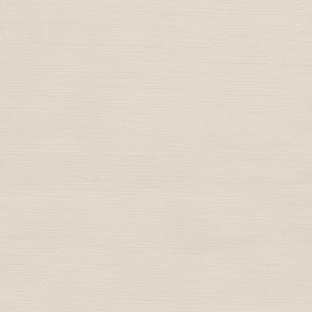 Rumi Oyster by Carole Designer Fabric Gala 100% Polyester India N/A None 54" - Swanky Fabrics -