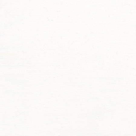 Rumi Snow by Carole Designer Fabric Gala 100% Polyester India None 54" - Swanky Fabrics -