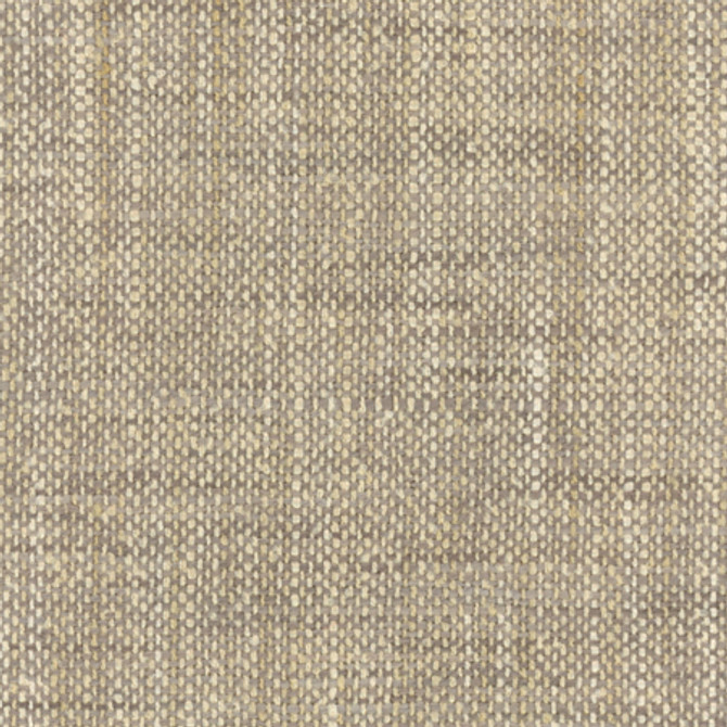 El Sol Flannel by Carole Designer Fabric Head Start,Power Play 100% Polyester N/A None 55" - Swanky Fabrics -