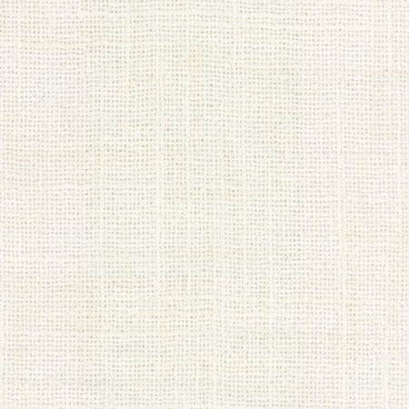 El Sol Ivory by Carole Designer Fabric Head Start 100% Polyester India None 55" - Swanky Fabrics -