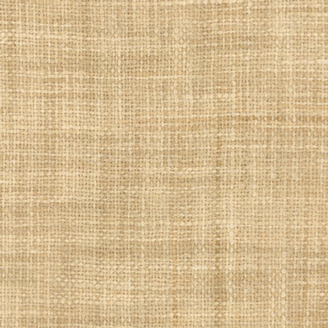 El Sol Tussah by Carole Designer Fabric Head Start 100% Polyester India N/A None 55" - Swanky Fabrics -
