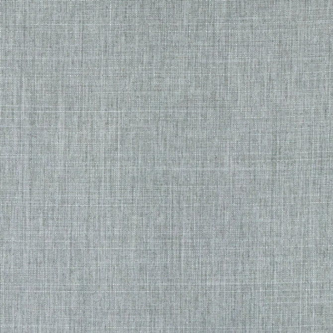 Intention Fog by Carole Designer Fabric Head Start,Power Play 100% Polyester 25,000 Wyzenbeek Double Rubs None 54" - Swanky Fabrics -