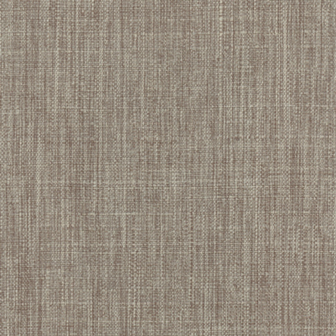 Intention Smoke by Carole Designer Fabric Head Start 100% Polyester Taiwan None 54" - Swanky Fabrics -