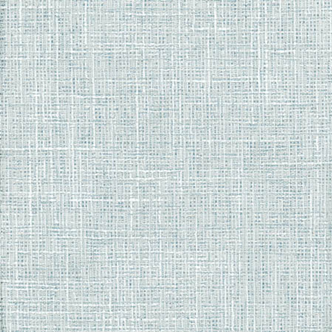 Adjuster Vapor by Carole Designer Fabric Laguna 62% Polyester, 32% Cotton, 6% Viscose INDIA None 54" - Swanky Fabrics -