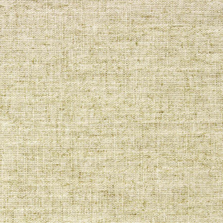 Critic Endive by Carole Designer Fabric Laguna 85% Polyester, 15% Linen INDIA N/A None 54" - Swanky Fabrics -