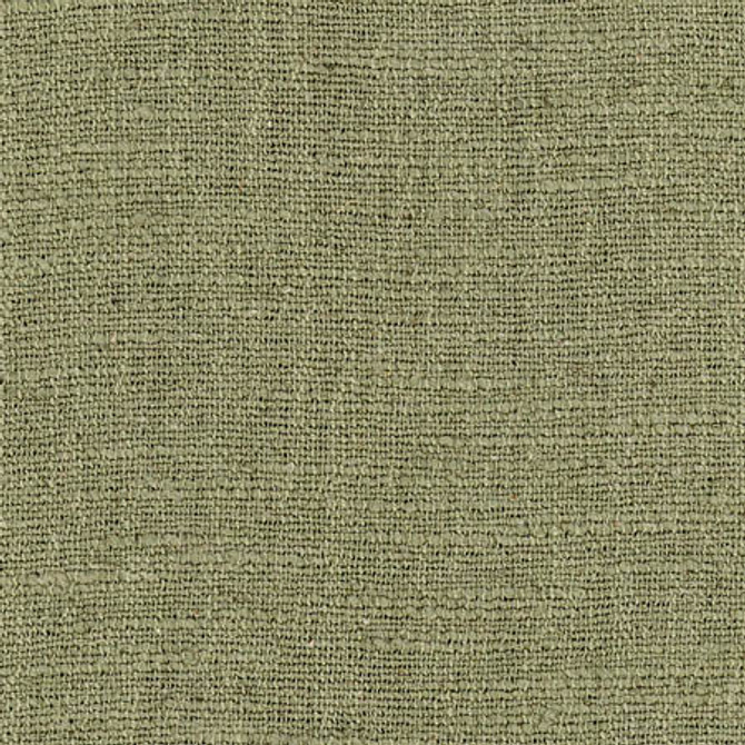 Warden Fern by Carole Designer Fabric Laguna 90% Polyester, 10% Linen CHINA 20,000 Wyzenbeek Double Rubs None 55" - Swanky Fabrics -