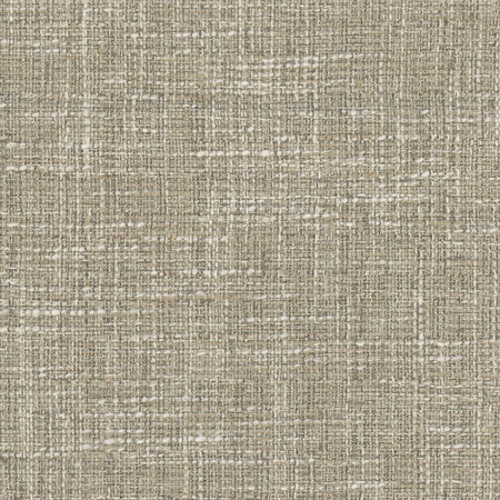 Amare Mushroom by Carole Designer Fabric Let's Mingle 53% Polyester, 38% Cotton, 9% Viscose India 42,500 Wyzenbeek Double Rubs None 55" - Swanky Fabrics -