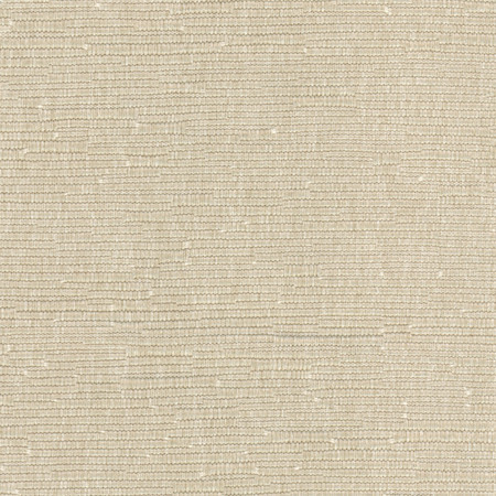 Fitz Latte by Carole Designer Fabric Let's Mingle 52% Cotton, 48% Polyester Taiwan 75,000 Wyzenbeek Double Rubs None 54" - Swanky Fabrics -