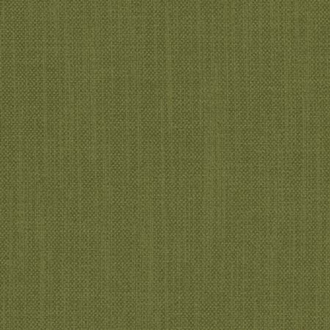 Liberty Forest by Carole Designer Fabric Liberty II 100% Polyester India 50,000 Wyzenbeek Double Rubs None 54" - Swanky Fabrics -