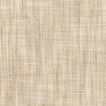 Create Birch by Carole Designer Fabric See It Through 100% Polyester India N/A None 55" - Swanky Fabrics -