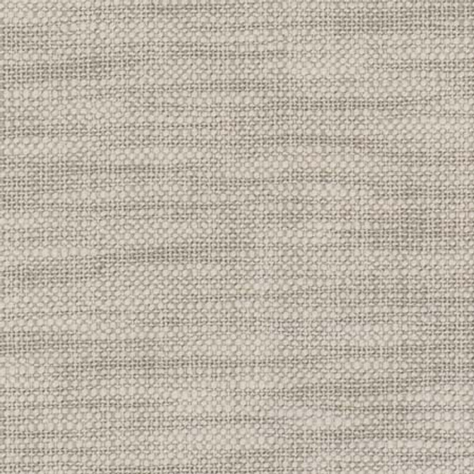 From The Start Cloud by Carole Designer Fabric See It Through 66% Cotton, 34% Polyester India None 55.25" - Swanky Fabrics -