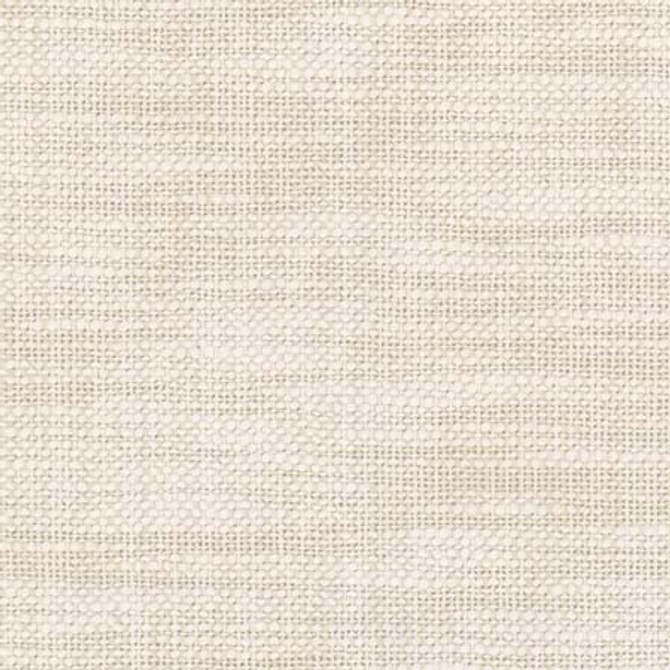 From The Start Cream by Carole Designer Fabric See It Through 66% Cotton, 34% Polyester India None 55.25" - Swanky Fabrics -
