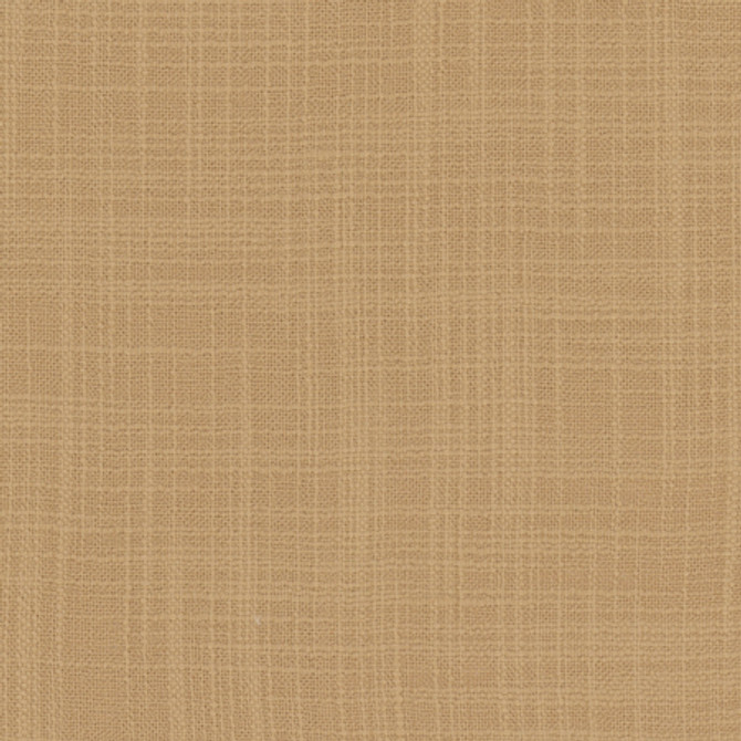 Lets Be Real Cashew by Carole Designer Fabric See It Through 100% Recycled Polyester India None 54" - Swanky Fabrics -