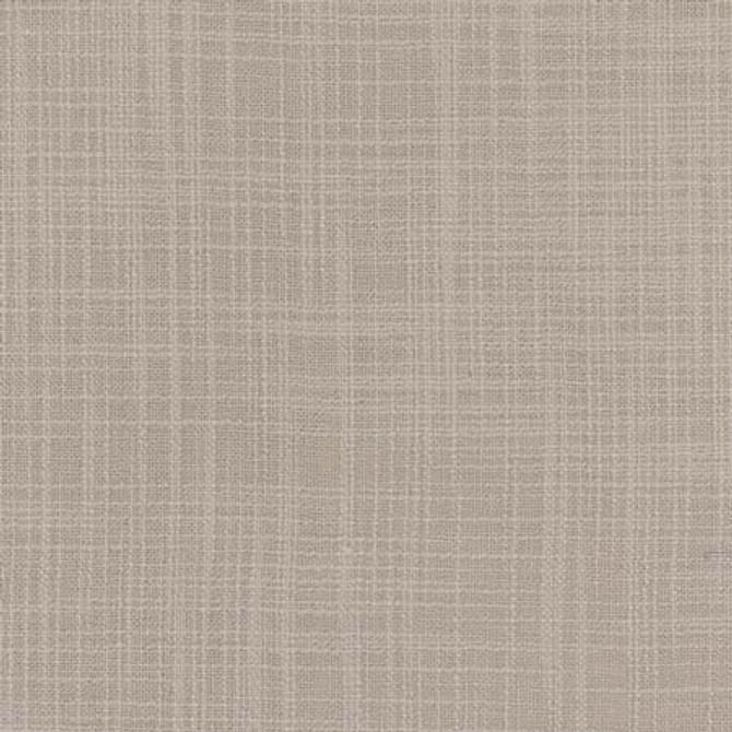 Lets Be Real Cloudy by Carole Designer Fabric See It Through 100% Recycled Polyester India 50,000 Wyzenbeek Double Rubs None 54" - Swanky Fabrics -