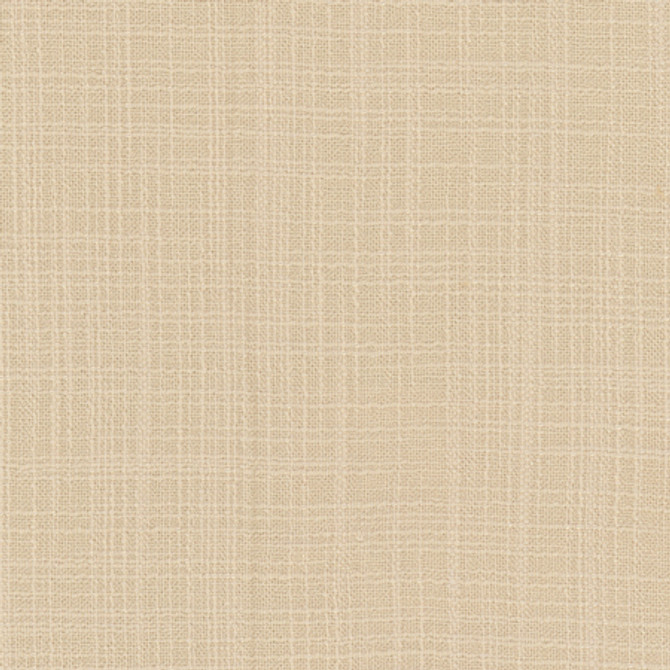 Lets Be Real Cream by Carole Designer Fabric See It Through 100% Recycled Polyester India 50,000 Wyzenbeek Double Rubs None 54" - Swanky Fabrics -
