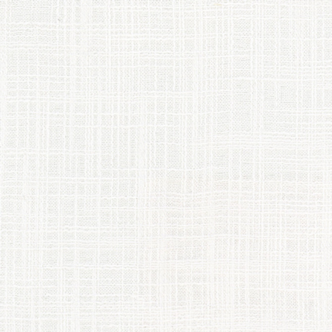 Lets Be Real Optic by Carole Designer Fabric See It Through 100% Recycled Polyester India 50,000 Wyzenbeek Double Rubs None 54" - Swanky Fabrics -
