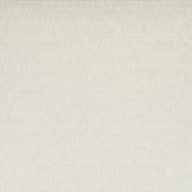 Maybe So Snow by Carole Designer Fabric See It Through 100% Polyester Turkey None 54" - Swanky Fabrics -