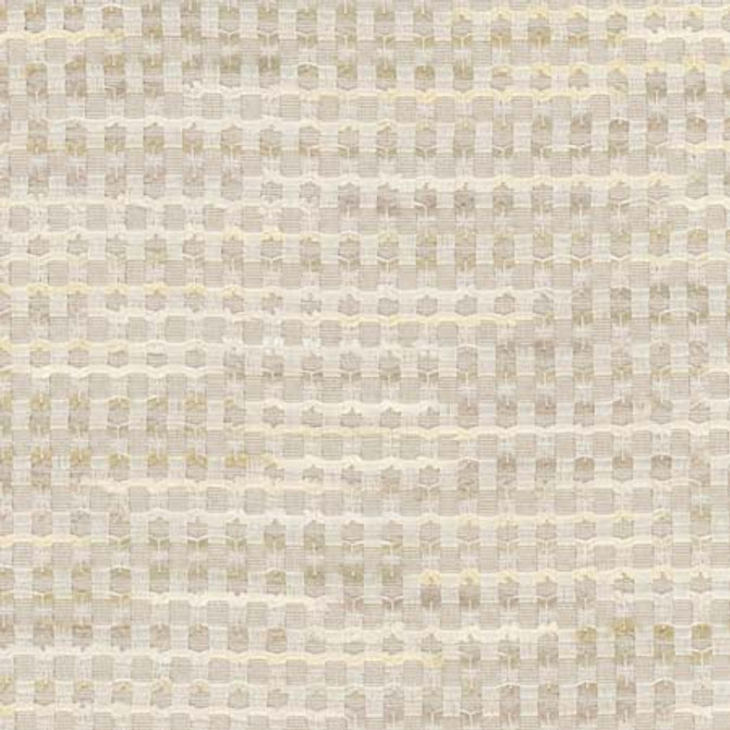 Ready To Rumble Travertine by Carole Designer Fabric Stone Path 60% Polyester, 40% Cotton India 40,000 Wyzenbeek Double Rubs None 57" - Swanky Fabrics -