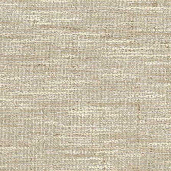 Sound Mind Mountain by Carole Designer Fabric Stone Path 100% Polyester India None 54" - Swanky Fabrics -