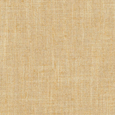 Consultant Sunbaked by Carole Designer Fabric Sunbaked 100% Polyester INDIA N/A None 54" - Swanky Fabrics -