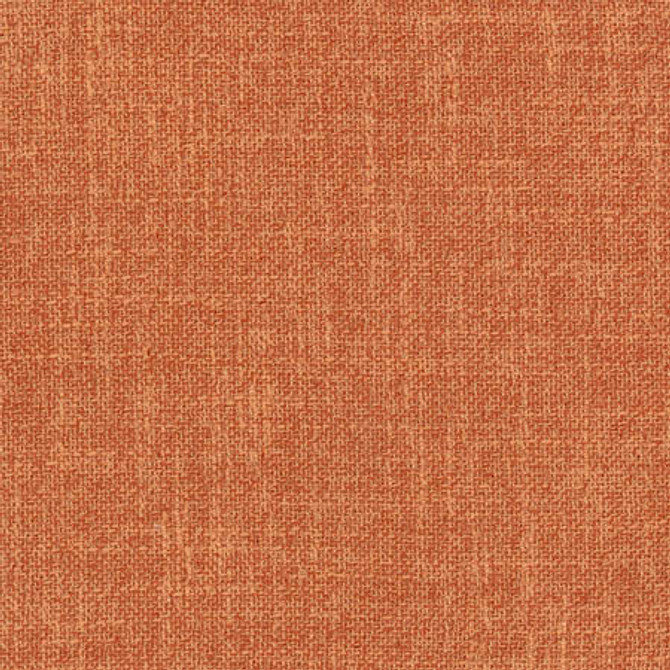 Enthusiasm Spice by Carole Designer Fabric Sunbaked 100% Polyester INDIA None 54" - Swanky Fabrics -