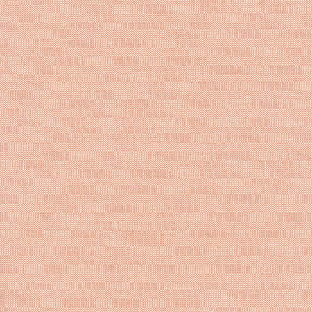 Freshman Coral Pink by Carole Designer Fabric Sunbaked 100% Polyester INDIA 100,000 Wyzenbeek Double Rubs None 54" - Swanky Fabrics -