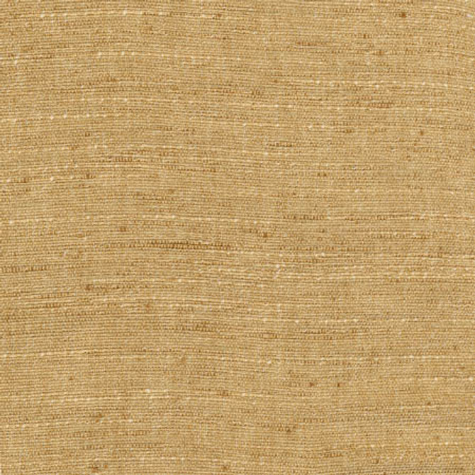 Training Day Mustard by Carole Designer Fabric Sunbaked 92% Polyester, 8% Cotton INDIA None 54" - Swanky Fabrics -