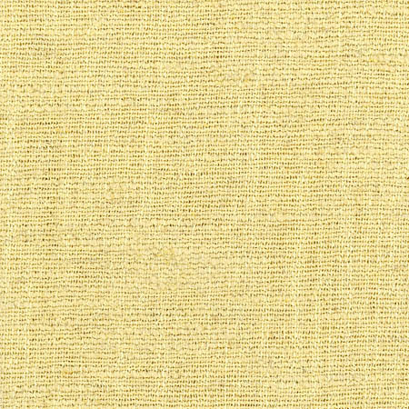 Warden Parmesan by Carole Designer Fabric Sunbaked 90% Polyester, 10% Linen CHINA None 55" - Swanky Fabrics -