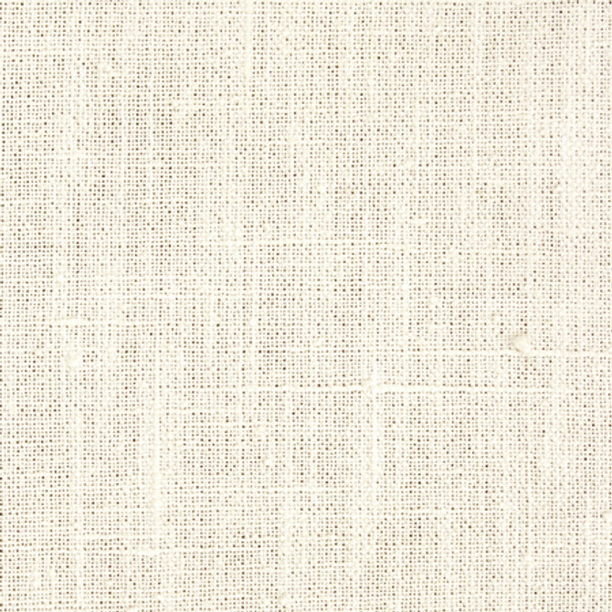 <p>Consultant Ivory by Carole Designer Fabric</p><p><strong>Required Minimum Quantity Purchase: 2 yards</strong></p><p>Book: Toasted Almond,Sea Salt</p><p>Content: 100% Polyester</p><p>Origin: </p><p>Performance: N/A</p><p>Repeat: None</p><p>Width: 54"</p>