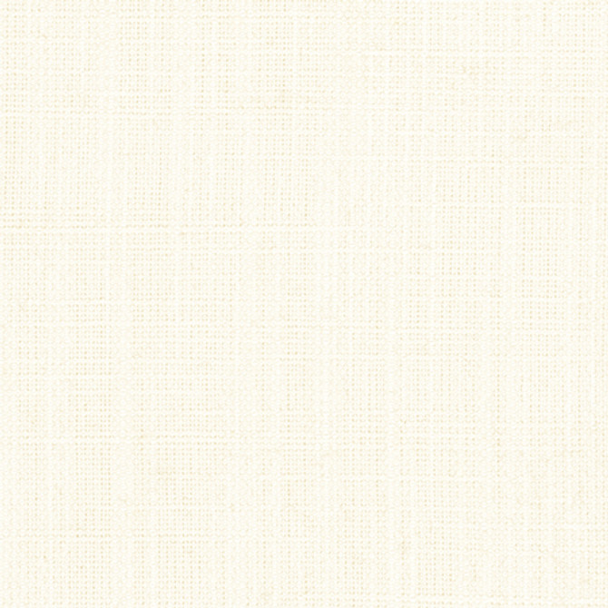 <p>Critic Ivory by Carole Designer Fabric</p><p><strong>Required Minimum Quantity Purchase: 2 yards</strong></p><p>Book: Toasted Almond,Sea Salt</p><p>Content: 85% Polyester, 15% Linen</p><p>Origin: </p><p>Performance: N/A</p><p>Repeat: None</p><p>Width: 54"</p>