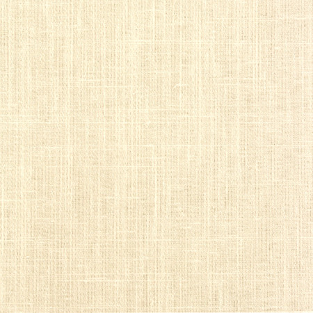 <p>Duty Calls Froth by Carole Designer Fabric</p><p><strong>Required Minimum Quantity Purchase: 2 yards</strong></p><p>Book: Toasted Almond,Sea Salt</p><p>Content: 77% Polyester, 14% Cotton, 9% Linen</p><p>Origin: </p><p>Performance: N/A</p><p>Repeat: None</p><p>Width: 54"</p>