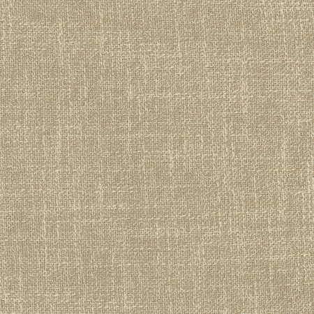 Enthusiasm Hemp by Carole Designer Fabric Toasted Almond 100% Polyester INDIA N/A None 54" - Swanky Fabrics -