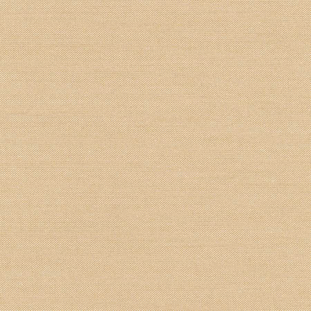 Freshman Camel by Carole Designer Fabric Toasted Almond 100% Polyester INDIA 100,000 Wyzenbeek Double Rubs None 54" - Swanky Fabrics -